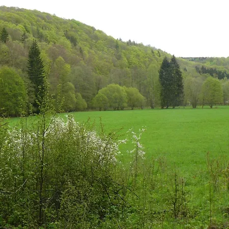 Nature In Dankerode, Cleaning Included Ferienhaus