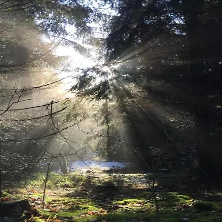 Nature In Dankerode, Cleaning Included *