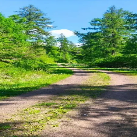 Nature In Dankerode, Cleaning Included *